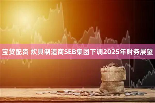 宝贷配资 炊具制造商SEB集团下调2025年财务展望