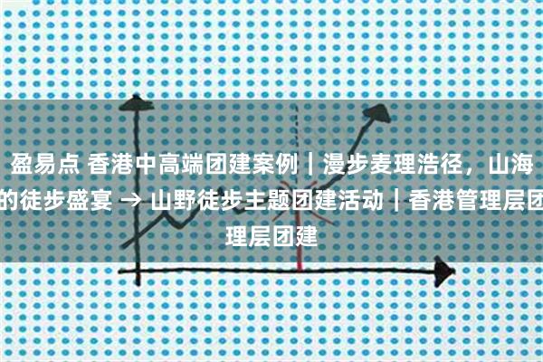 盈易点 香港中高端团建案例｜漫步麦理浩径，山海间的徒步盛宴 → 山野徒步主题团建活动｜香港管理层团建