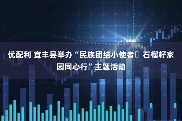 优配利 宜丰县举办“民族团结小使者・石榴籽家园同心行”主题活动