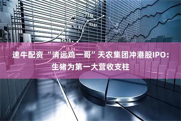 速牛配资 “清远鸡一哥”天农集团冲港股IPO：生猪为第一大营收支柱